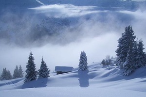 Unser Ausblick im Winter